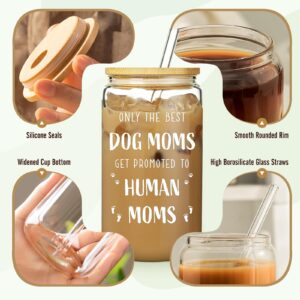 New Mom Gifts for Pregnant Women, 16oz Drinking Glass Cup with Lid and Straw, Funny Dog Mom Pregnancy Gift for Expecting Mom, Mother to be - Postpartum, Mothers Day, Birthday Gifts for First Time Moms