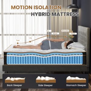 Queen Mattress, 14 Inch Hybrid Mattress with Gel Memory Foam, Fiberglass-Free Medium Firm Deluxe Mattress in a Box, Individual Pocket Spring-Motion Isolation-Edge Support, 100 Nights Trial,CertiPUR-US