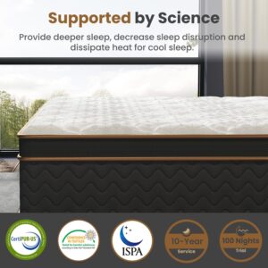 Queen Mattress, 14 Inch Hybrid Mattress with Gel Memory Foam, Fiberglass-Free Medium Firm Deluxe Mattress in a Box, Individual Pocket Spring-Motion Isolation-Edge Support, 100 Nights Trial,CertiPUR-US