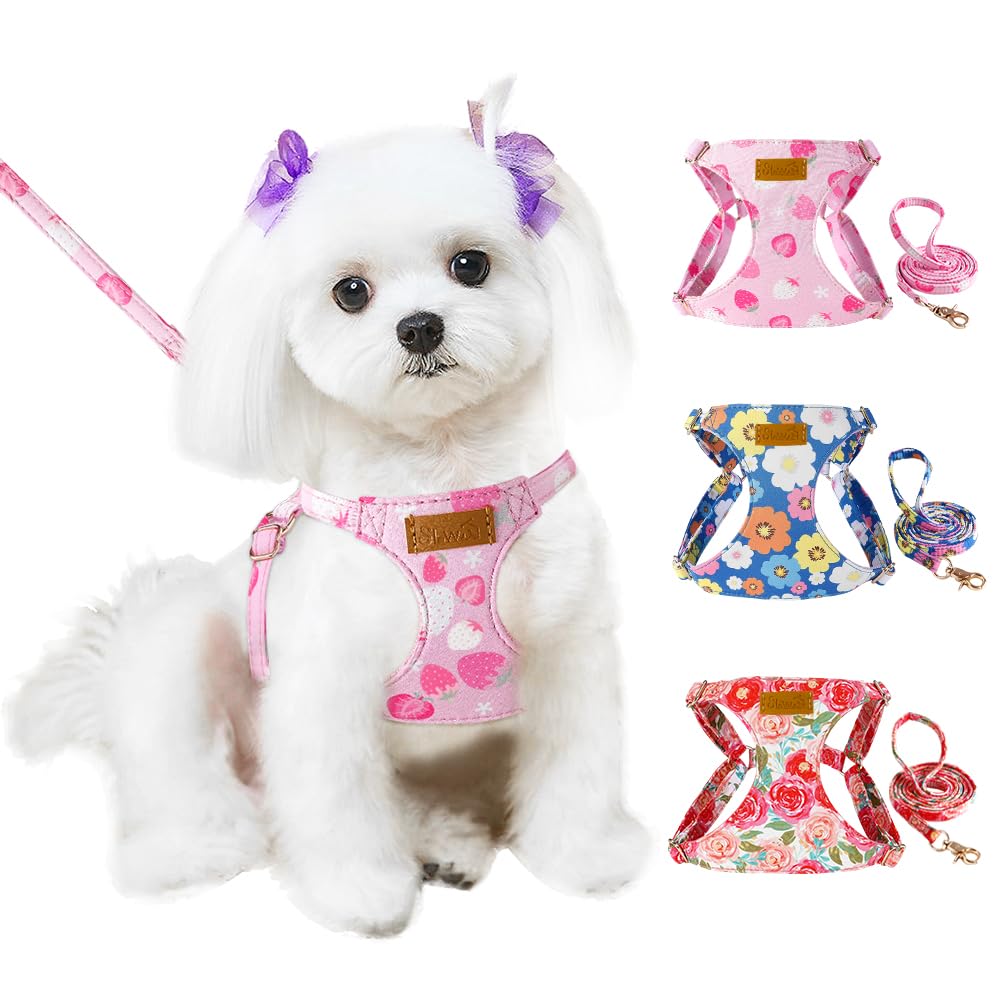 Lukovee Puppy Harness and Leash Set, No Pull Lightweight Soft Suede Adjustable Pet Harness Vest with Snap Buckle for Puppy Small and Medium Size Dog (Pink Strawberry, XXS)