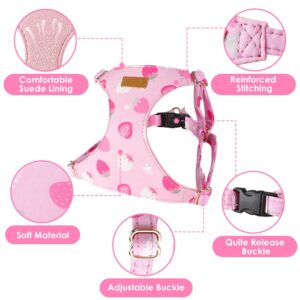 Lukovee Puppy Harness and Leash Set, No Pull Lightweight Soft Suede Adjustable Pet Harness Vest with Snap Buckle for Puppy Small and Medium Size Dog (Pink Strawberry, XXS)