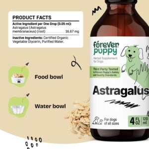 Astragalus Root for Dogs - Immune Support for Dogs w/Astragalus Root - Pet Supplements for Immunity w/Astragalus Liquid Extract - Herbal Dog Immune Vitamins and Supplements - Joyful Pet Care - 4 oz