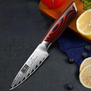 HOSHANHO Paring Knife 3.75 Inch Small Kitchen Knife, Super Sharp VG-10 Damascus Steel Fruit Knife, Multifunctional Peeling Knife for Cutting Fruit Vegetables