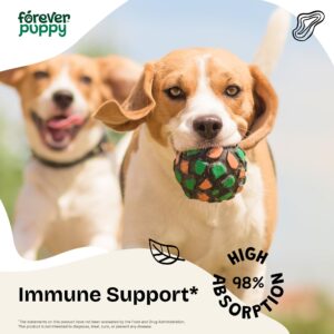 Echinacea for Dogs - Immune Supplement for All Breeds & Sizes - Immunity Support w/Echinacea Herb - Liquid Dog Vitamins and Supplements for Pets - 4 oz