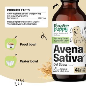 Avena Sativa Drops for Dogs - Calming Support for Dogs w/Oat Straw Herb - Herbal Alternative to Calming Chews for Dogs - Liquid Dog Vitamins for Brain Relaxation, Calm Mood & Composure - 4 oz