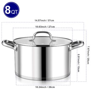 LIANYU 8 QT Stock Pot, Stainless Steel Heavy duty Cookware Pot, Large Cooking Pot for Pasta Soup Noodles, Compatible with Ceramic Gas Induction Cooktop, Dual Handles & Glass Lid, Dishwasher Safe