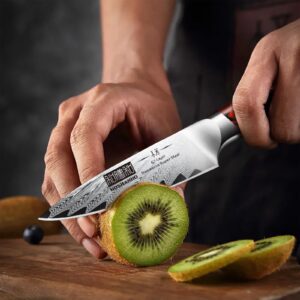 HOSHANHO Paring Knife 3.75 Inch Small Kitchen Knife, Super Sharp VG-10 Damascus Steel Fruit Knife, Multifunctional Peeling Knife for Cutting Fruit Vegetables