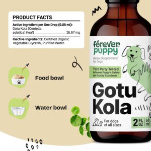 Gotu Kola for Dogs - Supplement for Dog Brain Health - Calming Dog Vitamins w/Centella Asiatica - Brain Support Dog Essentials w/Gotu Kola - Herbal Dog Vitamins and Supplements Liquid - 2 oz