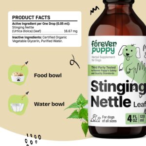 Stinging Nettle Leaf Drops for Dogs - Itching Skin Relief - Skin and Coat Supplement for Dog Health - Liquid Vitamins and Supplements for Soothing Itch Relief - Dog Skin Care - 4 oz