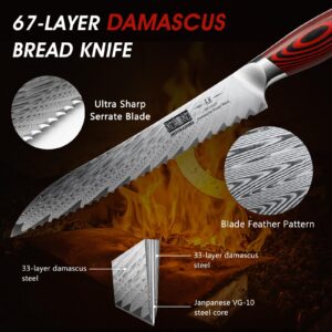 HOSHANHO Bread Knife,8 Inch Serrated Bread Knife Ultra Sharp Damascus Steel Bread Kitchen Knife, Professional Bread Knife for Homemade Bread