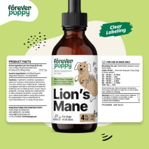 Lion's Mane Mushroom Supplement for Dogs - Liquid Drops for Dog Brain Health w/Lions Mane - Vegan Dog Supplements - Vitamins for Essential Brain Support & Focus - No Preservatives - 4 oz