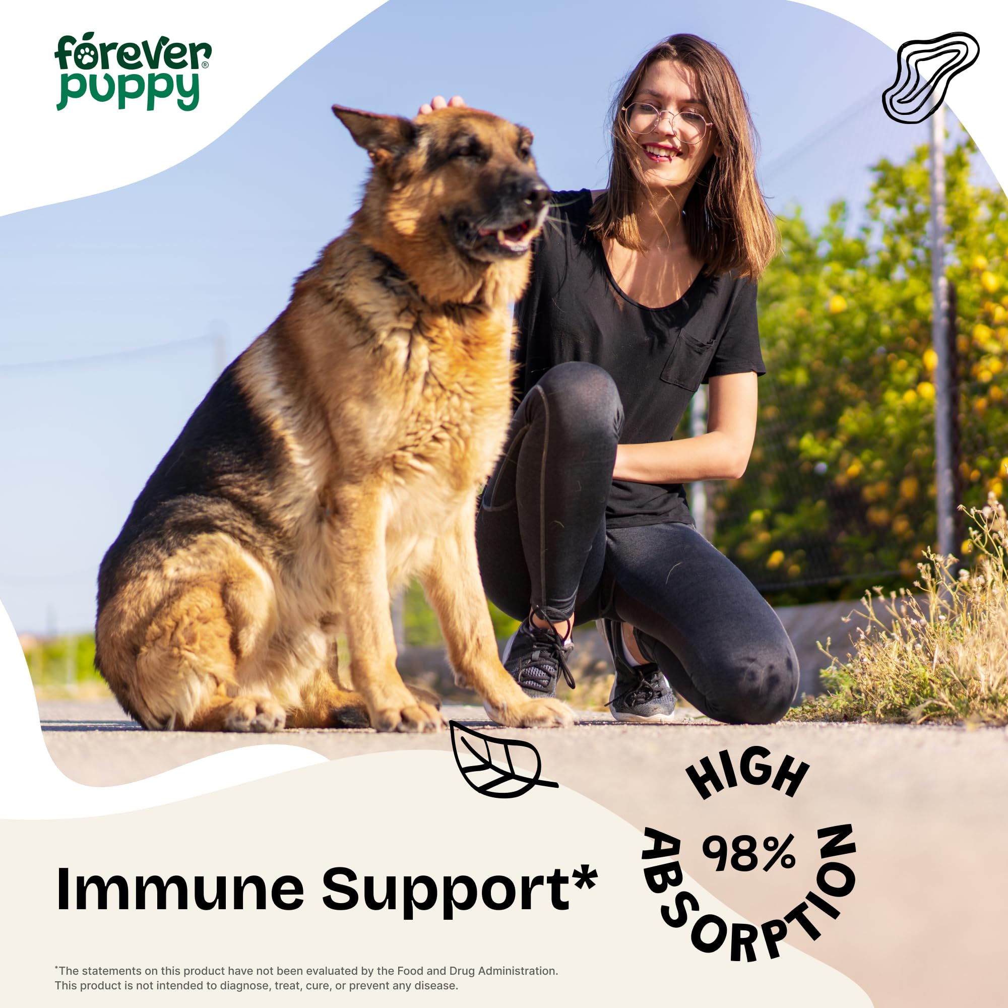 Astragalus Root for Dogs - Immune Support for Dogs w/Astragalus Root - Pet Supplements for Immunity w/Astragalus Liquid Extract - Herbal Dog Immune Vitamins and Supplements - Joyful Pet Care - 4 oz