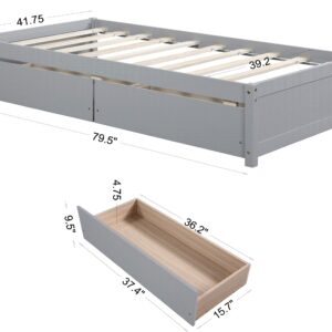 Twin Size Bed Frame with 2 Storage Drawers,Twin Kids Bed,Solid Wood Platform Bed Twin for Kids, Teens, Adults, Grey