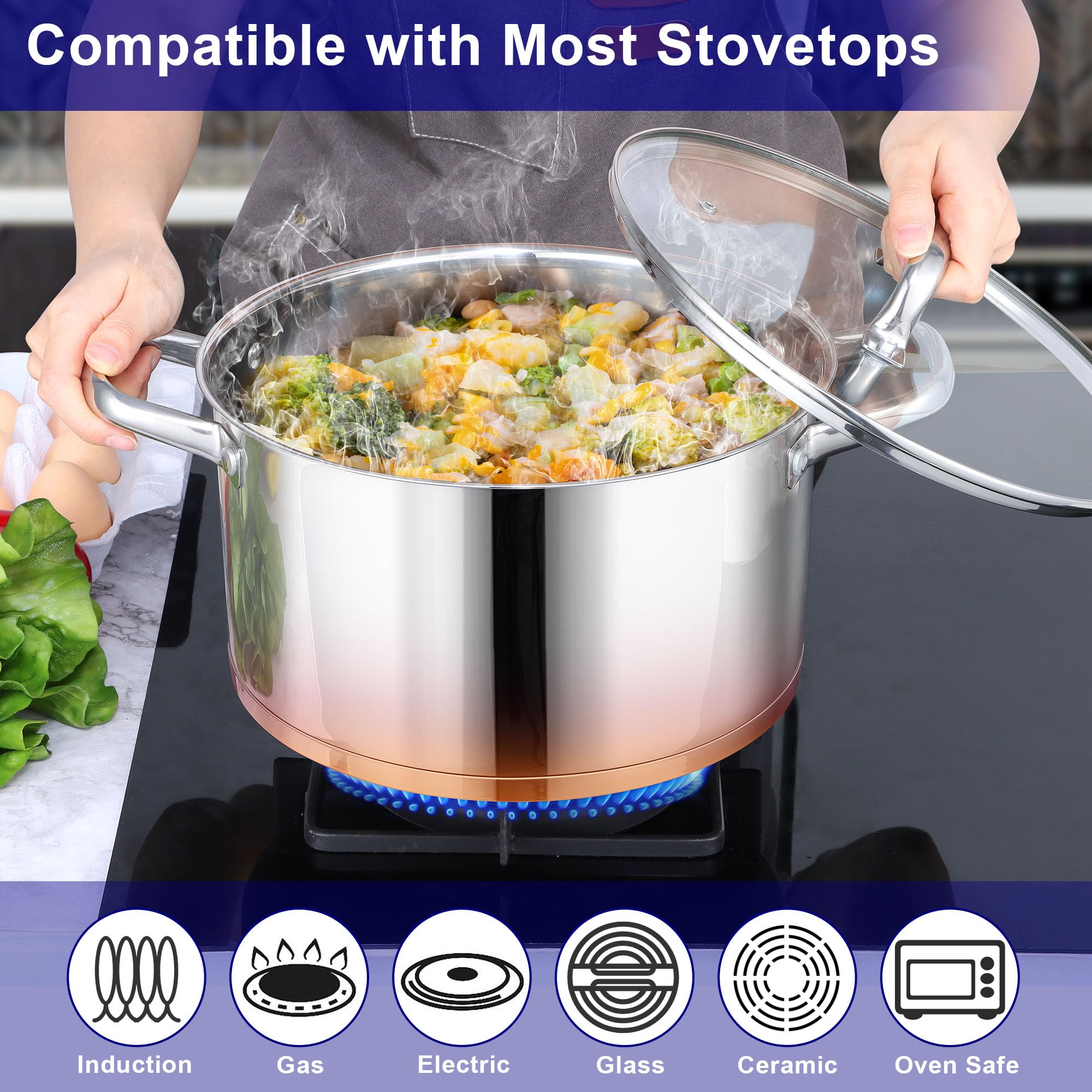 LIANYU 8 QT Stock Pot, Stainless Steel Heavy duty Cookware Pot, Large Cooking Pot for Pasta Soup Noodles, Compatible with Ceramic Gas Induction Cooktop, Dual Handles & Glass Lid, Dishwasher Safe