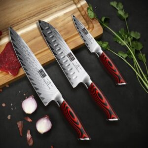 HOSHANHO 3 Pieces Damascus Kitchen Knife Set Ultra-Sharp Knives Set, Professional Chef Knife Set With G10 Ergonomic Handle,Gift Box