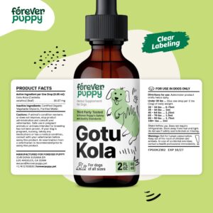 Gotu Kola for Dogs - Supplement for Dog Brain Health - Calming Dog Vitamins w/Centella Asiatica - Brain Support Dog Essentials w/Gotu Kola - Herbal Dog Vitamins and Supplements Liquid - 2 oz