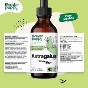 Astragalus Root for Dogs - Immune Support for Dogs w/Astragalus Root - Pet Supplements for Immunity w/Astragalus Liquid Extract - Herbal Dog Immune Vitamins and Supplements - Joyful Pet Care - 4 oz