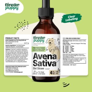 Avena Sativa Drops for Dogs - Calming Support for Dogs w/Oat Straw Herb - Herbal Alternative to Calming Chews for Dogs - Liquid Dog Vitamins for Brain Relaxation, Calm Mood & Composure - 4 oz