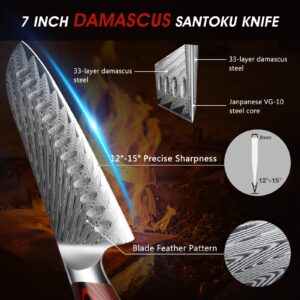 HOSHANHO Damascus Santoku Knife, 7 Inch Professiona Kitchen Knife，VG-10 Damasucs Steel Ultra-Sharp Santoku Chef Knife with Ergonomic G10 Handle