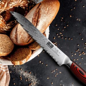 HOSHANHO Bread Knife,8 Inch Serrated Bread Knife Ultra Sharp Damascus Steel Bread Kitchen Knife, Professional Bread Knife for Homemade Bread