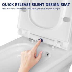 DeerValley Elongated One Piece Toilet, DV-1F0072-1 Square Compact Toilets for Bathrooms, Dual Flush 1/1.6 GPF and MaP 1000g, 12'' Rough-In Chair Height 16.93" Ceramic White Toilet With Soft Close Seat