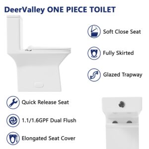 DeerValley Elongated One Piece Toilet, DV-1F0072-1 Square Compact Toilets for Bathrooms, Dual Flush 1/1.6 GPF and MaP 1000g, 12'' Rough-In Chair Height 16.93" Ceramic White Toilet With Soft Close Seat