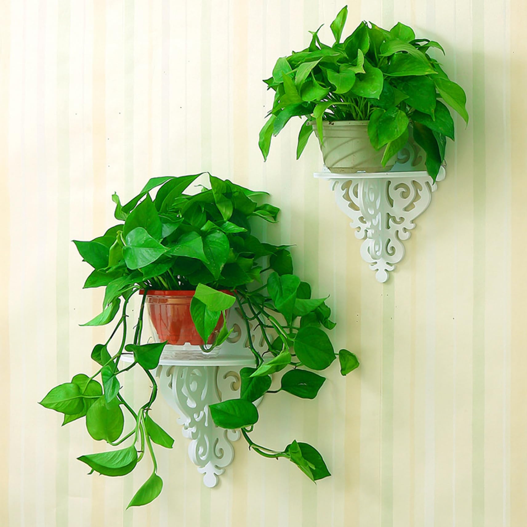 NGLONGLONG Floating Shelves Floating Shelves 2Pcs Carved Wall Mount Shelf 8.9X4.7In Decorative Corner Shelf Ornament Plant Wall Shelf for Living Room Bedroom