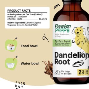 Dandelion Root Tincture for Dogs - Liver Support for Dogs w/Dandelion Root - Dog Food Supplements for Liver Health - Herbal Vitamins and Supplements for Liver Detox and Cleanse - 2 oz