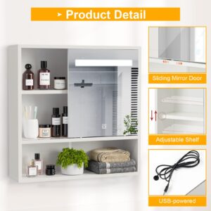 Sunghome Medicine Cabinet Mirror Bathroom Wall Cabinet, LED Light Bathroom Mirror with Storage, Medicine Cabinets with Slid Door and Adjustable Shelf, White, 24'' x 23.6''