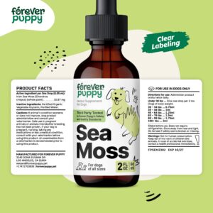 Irish Sea Moss Drops for Dogs - Thyroid Support & Energy - Nutritional Drops with Liquid Sea Moss - Dog Food Supplements for Thyroid Health - Liquid Dog Vitamins and Supplements - 2 oz