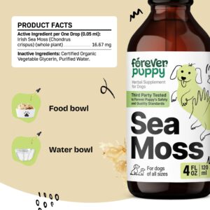 Irish Sea Moss Drops for Dogs - Thyroid & Energy Support for All Breeds & Sizes - Dog Food Supplements with Liquid Seamoss Extract - Natural Vitamins and Supplements for Thyroid Health - 4 oz