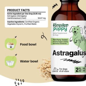 Astragalus Tincture for Dogs - Dog Immune Support Drops w/Astragalus Root - Liquid Astragalus Supplement for All Breeds & Sizes - Dog Food Supplements for Immunity - 2 oz