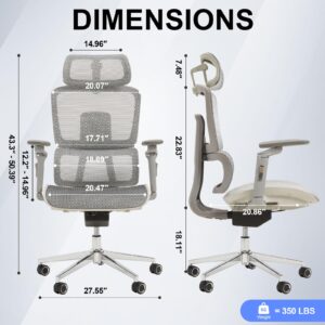 Ergonomic Office Chair High Back Home Computer Mesh Chairs, Adjustable Lumbar Support & Headrest Swivel Task Chair with 6D Armrests, Grey (S400)