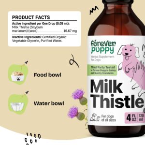 Milk Thistle for Dogs - Liver Supplements for Dogs w/Milk Thistle Liquid Extract - Herbal Liver Support Drops for Large Medium Small Dogs - Vegan Dog Vitamins and Supplements w/Silymarin - 4 oz