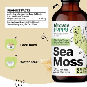 Irish Sea Moss Drops for Dogs - Thyroid Support & Energy - Nutritional Drops with Liquid Sea Moss - Dog Food Supplements for Thyroid Health - Liquid Dog Vitamins and Supplements - 2 oz