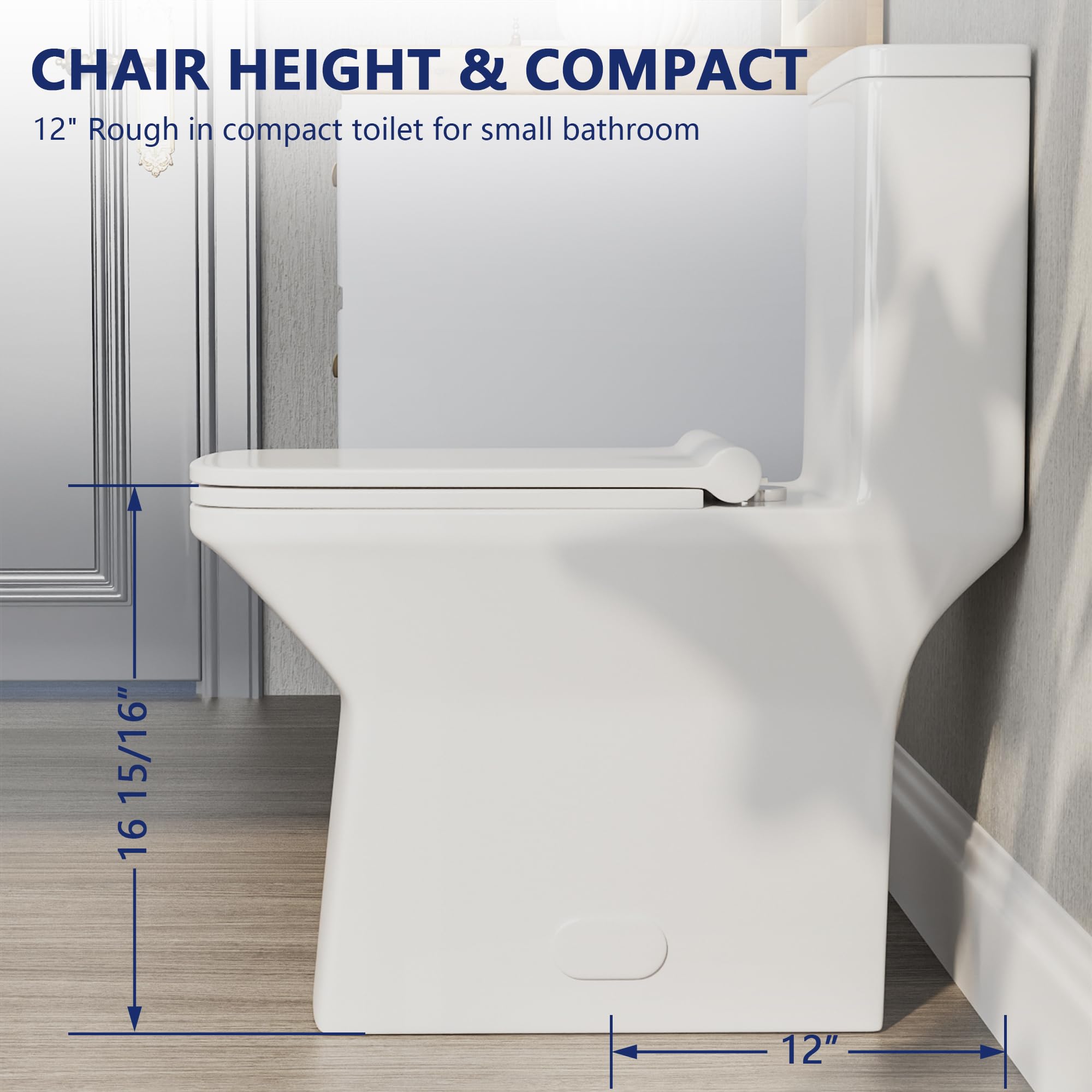 DeerValley Elongated One Piece Toilet, DV-1F0072-1 Square Compact Toilets for Bathrooms, Dual Flush 1/1.6 GPF and MaP 1000g, 12'' Rough-In Chair Height 16.93" Ceramic White Toilet With Soft Close Seat