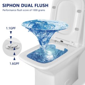 DeerValley Elongated One Piece Toilet, DV-1F0072-1 Square Compact Toilets for Bathrooms, Dual Flush 1/1.6 GPF and MaP 1000g, 12'' Rough-In Chair Height 16.93" Ceramic White Toilet With Soft Close Seat