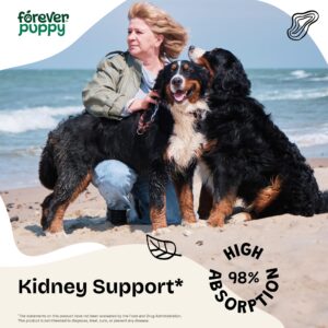 Kidney Support Drops for Dogs - Natural Kidney Care w/Cordyceps Mushroom & Stinging Nettle Leaf - Dog Food Supplements for Dogs' Kidney Health - Liquid Pet Vitamins and Supplements - 2 oz