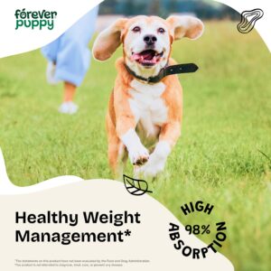 Healthy Weight Drops for Dogs - Weight Management Dog Food Supplements - Irish Sea Moss & Fenugreek Nutrient Blend - Energy Support Supplement w/Ginseng for Small, Medium & Large Breeds - 4 oz