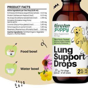 Lung Support Drops for Dogs - Respiratory Support Supplement for Dogs w/Mullein Leaf - Herbal Dog Respiratory Health Drops - Dog Vitamins for Lungs w/Mullein Extract & Echinacea - 2 oz