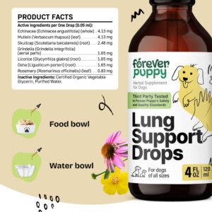 Lung Support Drops for Dogs - Vegan Dog Respiratory Health Supplements - Herbal Respiratory Support for Dogs w/Mullein Leaf and Echinacea Herb - Liquid Dog Vitamins for Pet's Lung Care - 4 oz