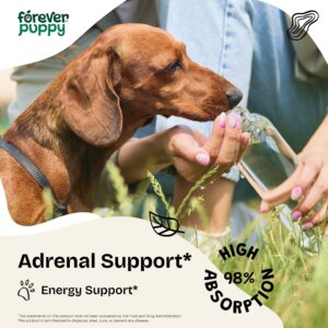 Adrenal Support for Dogs - Calming Drops for Dogs w/Liquid Ashwagandha & Schisandra Berry - Adrenal Drops for All Breeds & Sizes - Liquid Dog Vitamins and Supplements for Adrenal Health - 2 oz