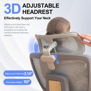 Ergonomic Office Chair High Back Home Computer Mesh Chairs, Adjustable Lumbar Support & Headrest Swivel Task Chair with 6D Armrests, Grey (S400)