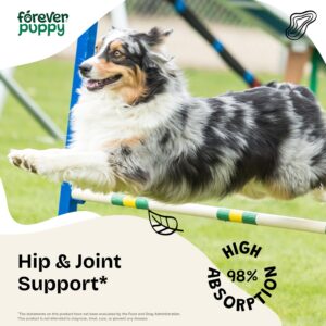 Hip & Joint Supplement for Dogs - Joint Support Drops for Dogs w/Turmeric Root - Herbal Joint Care for Dogs of Large Medium & Small Breeds - Liquid Dog Food Supplements for Hip and Joint Mobility 4oz