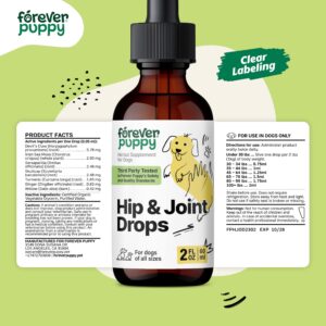 Hip and Joint Drops for Dogs - Joint Supplement w/Turmeric Curcumin - Liquid Alternative to Hip and Joint Chews for Dogs - Dog Vitamins and Supplements for Hip and Joint Health - 2 oz