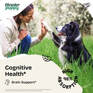 Cognition Drops for Dogs - Brain Supplement for Dogs w/Lion's Mane Mushrooms and Ginkgo Biloba - Vegan Cognitive Drops for Happy Dogs - Liquid Dog Food Supplements for Brain Health and Focus - 2 oz