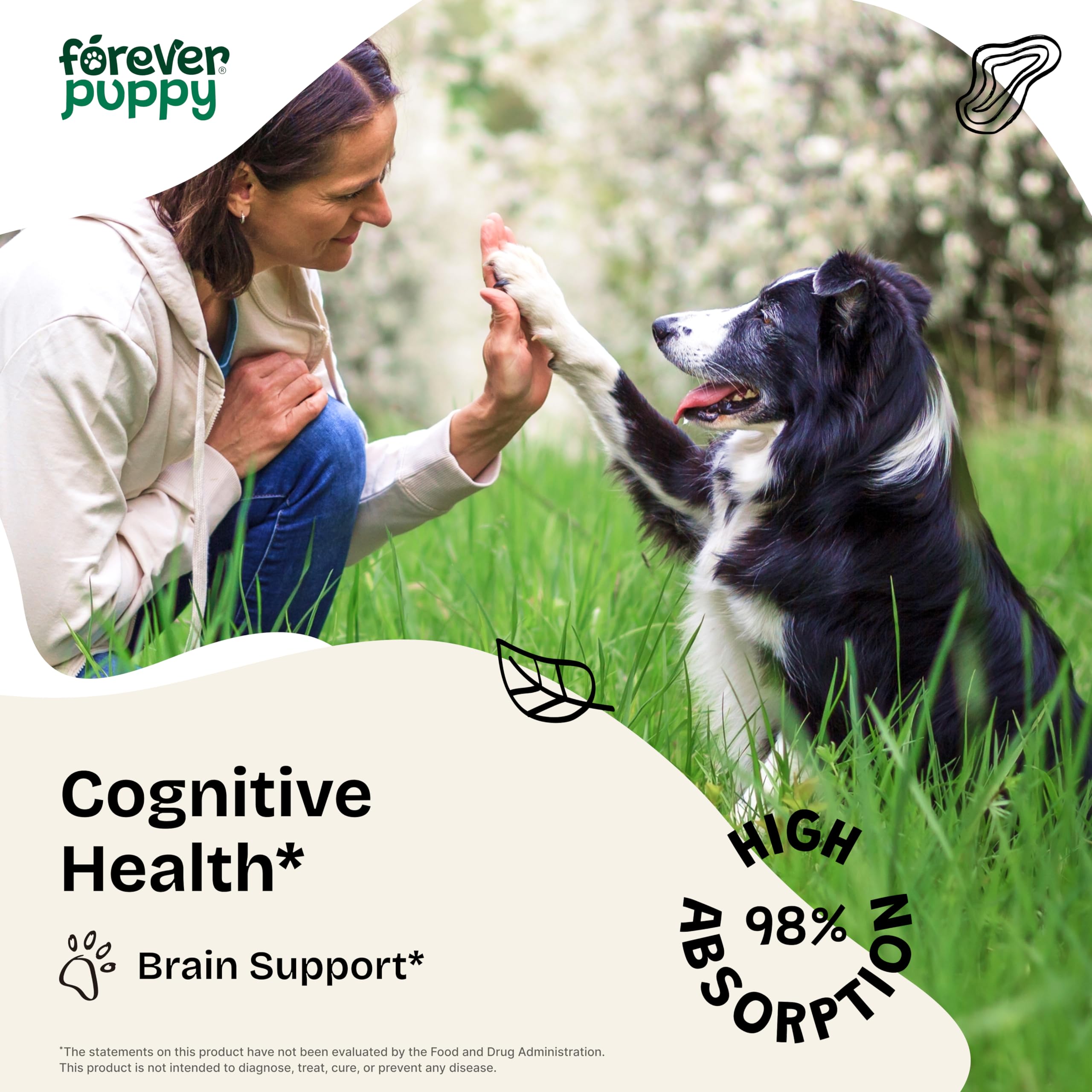 Cognition Drops for Dogs - Lion's Mane Mushroom Supplement for Dogs - Brain Health Support w/Ginkgo Biloba - Cognitive Drops w/Ashwagandha Root - Dog Mushroom Supplements for Focus & Clarity - 4 oz