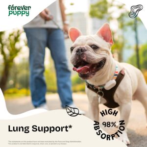 Lung Support Drops for Dogs - Respiratory Support Supplement for Dogs w/Mullein Leaf - Herbal Dog Respiratory Health Drops - Dog Vitamins for Lungs w/Mullein Extract & Echinacea - 2 oz