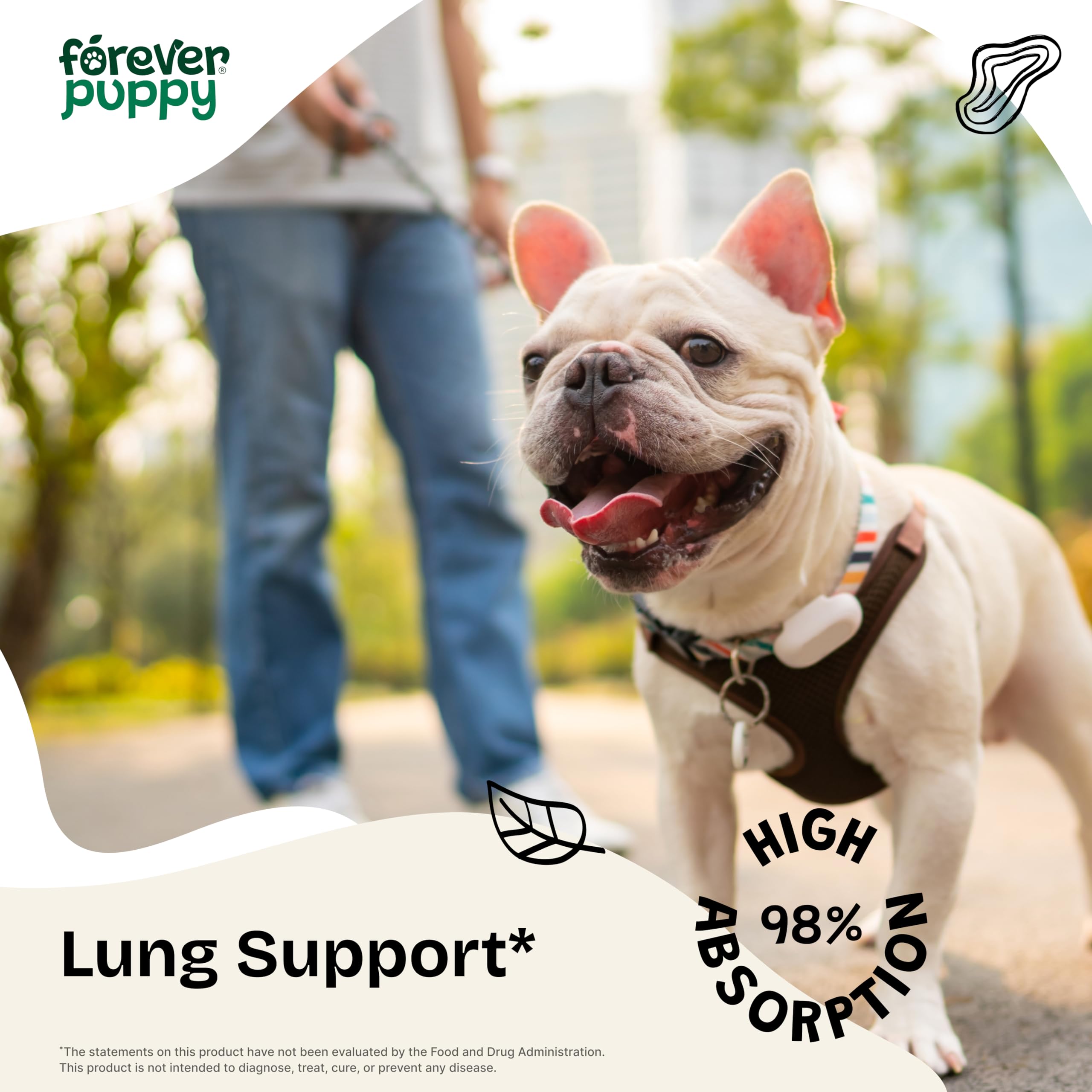 Lung Support Drops for Dogs - Vegan Dog Respiratory Health Supplements - Herbal Respiratory Support for Dogs w/Mullein Leaf and Echinacea Herb - Liquid Dog Vitamins for Pet's Lung Care - 4 oz