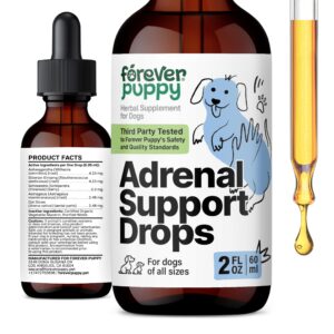 adrenal support for dogs - calming drops for dogs w/liquid ashwagandha & schisandra berry - adrenal drops for all breeds & sizes - liquid dog vitamins and supplements for adrenal health - 2 oz